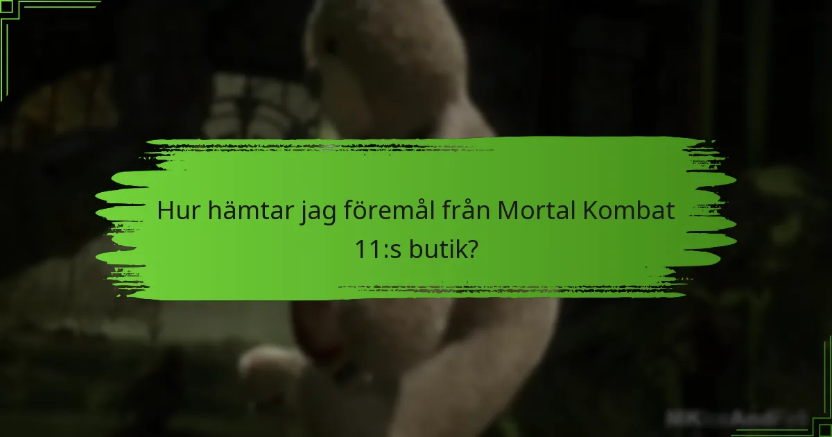 Hur hämtar jag föremål från Mortal Kombat 11:s butik?