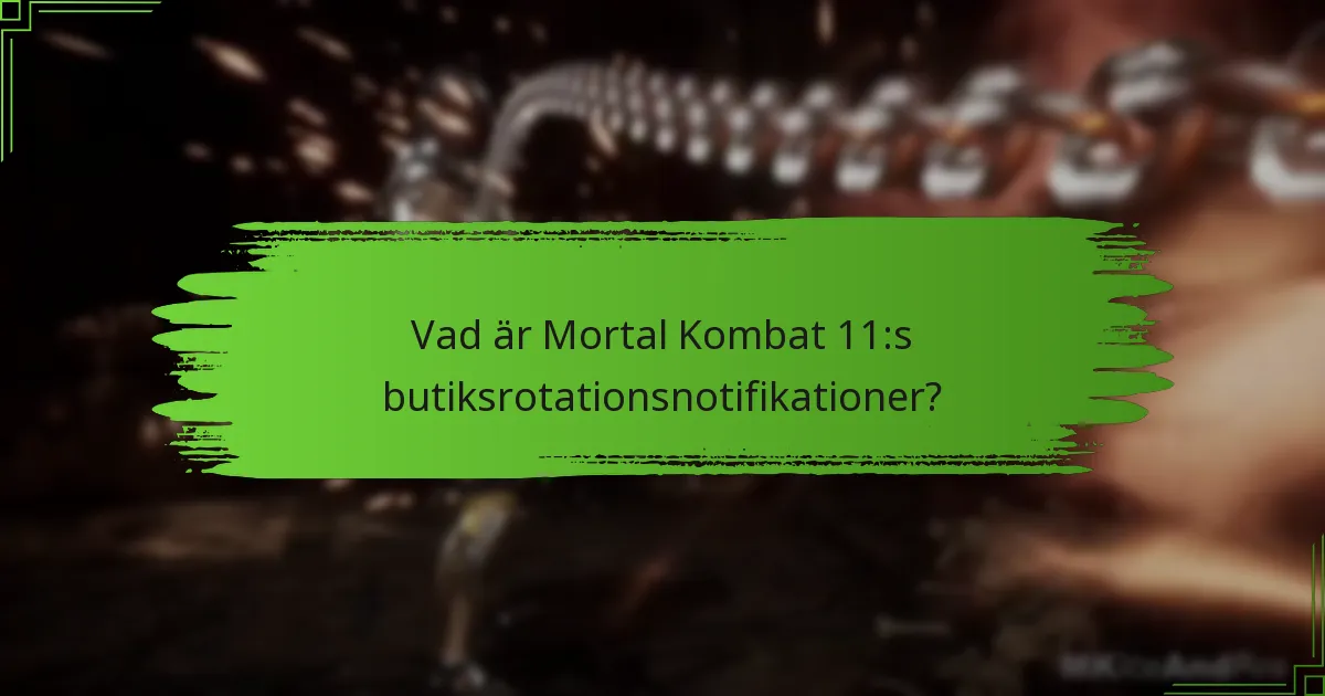 Vilka typer av objekt finns i Mortal Kombat 11:s butik?