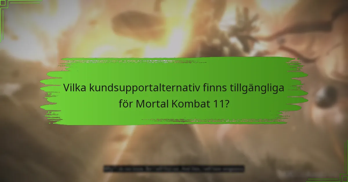 Vilken information bör jag ge till kundsupport?